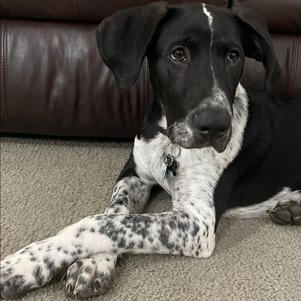 Hey there🤠! - Picture 4 of 5